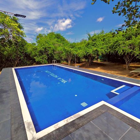 Yala Hotel Lion -Air Conditioned High Luxury Safari Camp Exteriör bild