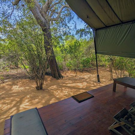 Yala Hotel Lion -Air Conditioned High Luxury Safari Camp Exteriör bild