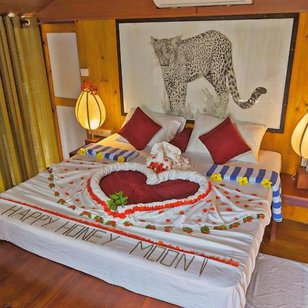 Yala Hotel Lion -Air Conditioned High Luxury Safari Camp Exteriör bild
