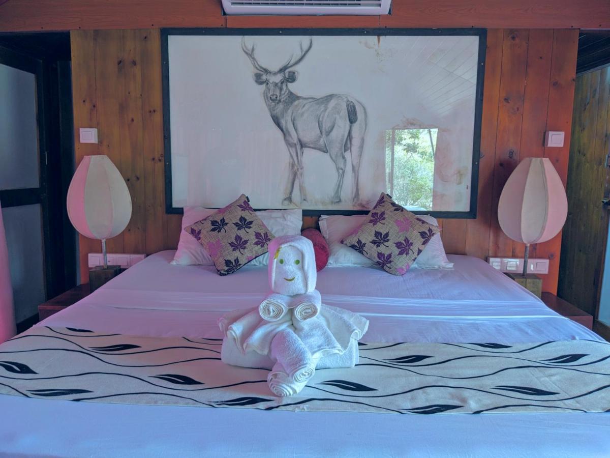 Yala Hotel Lion -Air Conditioned High Luxury Safari Camp Exteriör bild