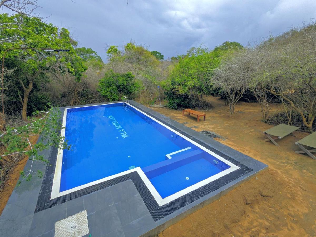 Yala Hotel Lion -Air Conditioned High Luxury Safari Camp Exteriör bild