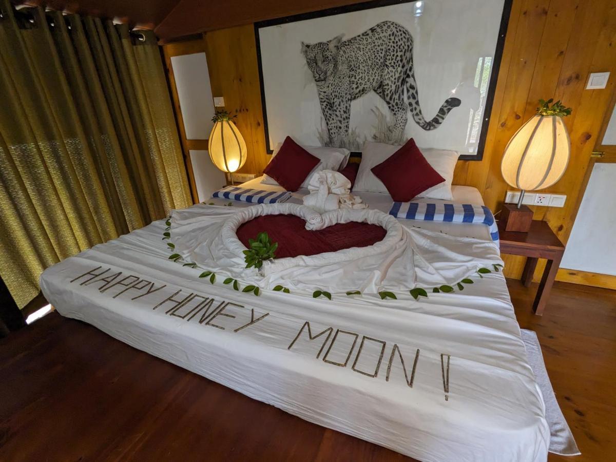 Yala Hotel Lion -Air Conditioned High Luxury Safari Camp Exteriör bild