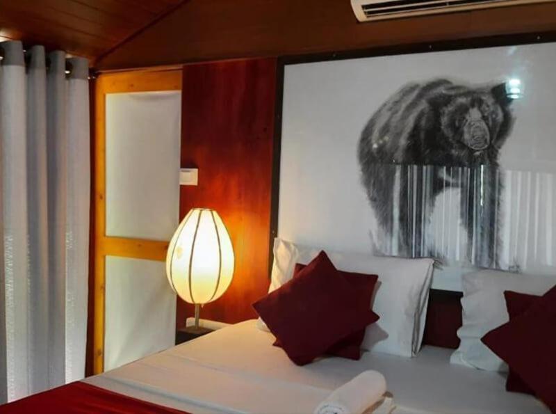 Yala Hotel Lion -Air Conditioned High Luxury Safari Camp Exteriör bild
