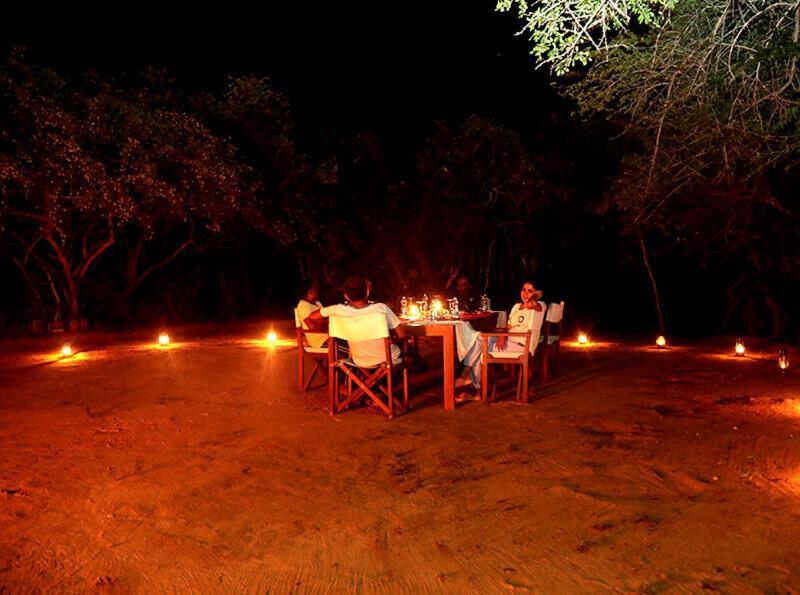 Yala Hotel Lion -Air Conditioned High Luxury Safari Camp Exteriör bild