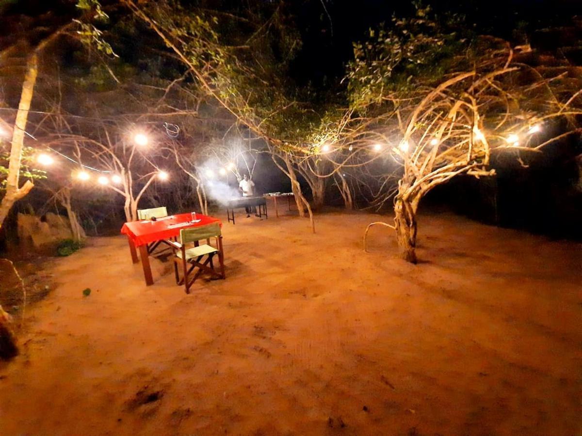 Yala Hotel Lion -Air Conditioned High Luxury Safari Camp Exteriör bild