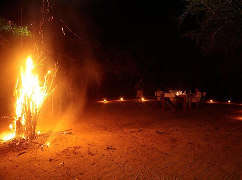 Yala Hotel Lion -Air Conditioned High Luxury Safari Camp Exteriör bild