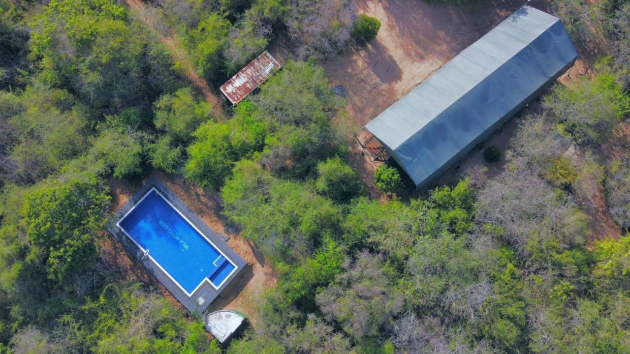 Yala Hotel Lion -Air Conditioned High Luxury Safari Camp Exteriör bild