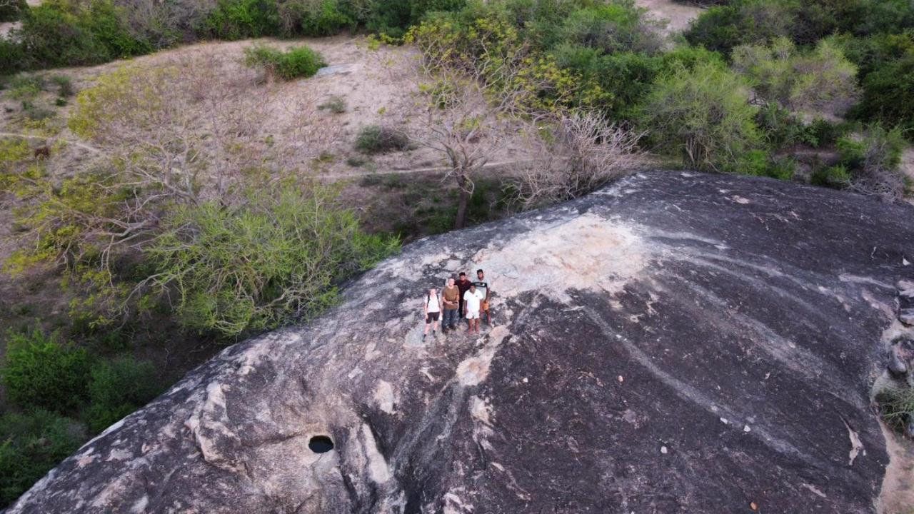 Yala Hotel Lion -Air Conditioned High Luxury Safari Camp Exteriör bild