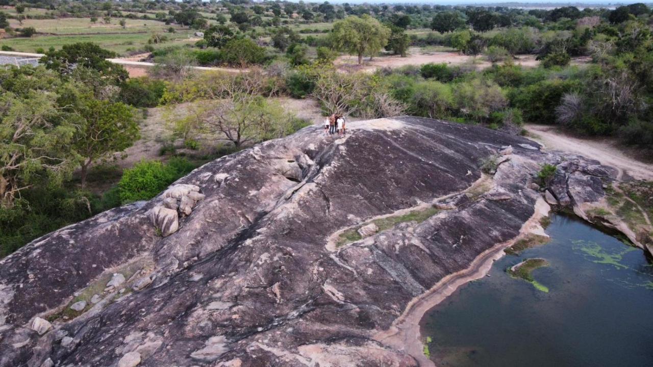 Yala Hotel Lion -Air Conditioned High Luxury Safari Camp Exteriör bild