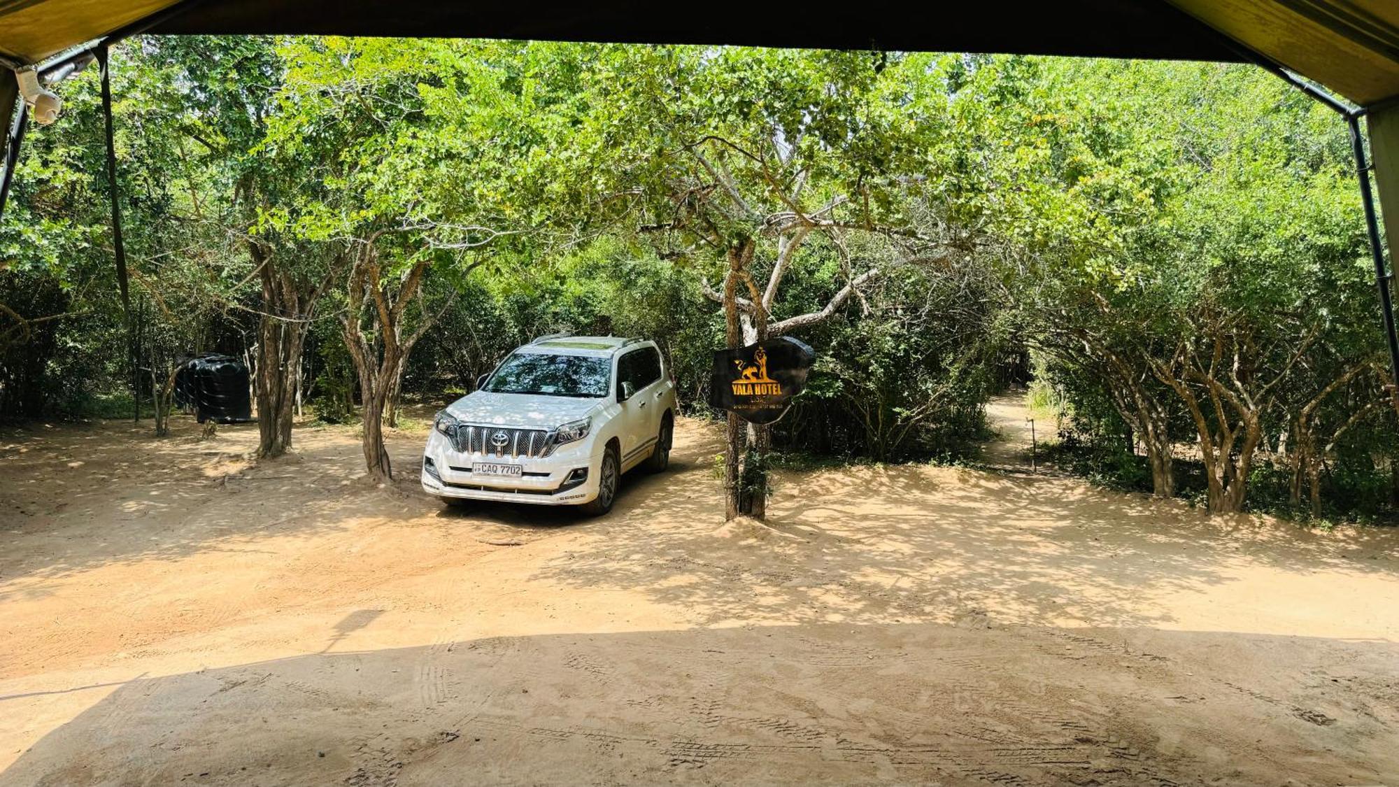 Yala Hotel Lion -Air Conditioned High Luxury Safari Camp Exteriör bild