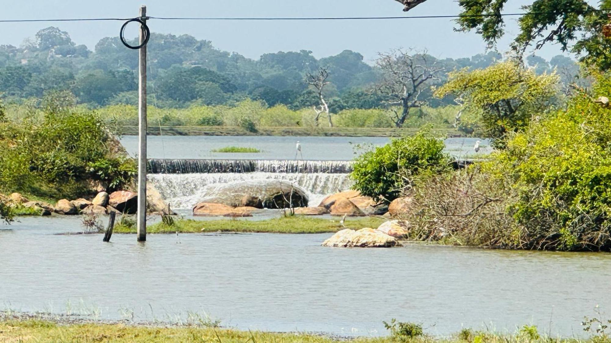 Yala Hotel Lion -Air Conditioned High Luxury Safari Camp Exteriör bild