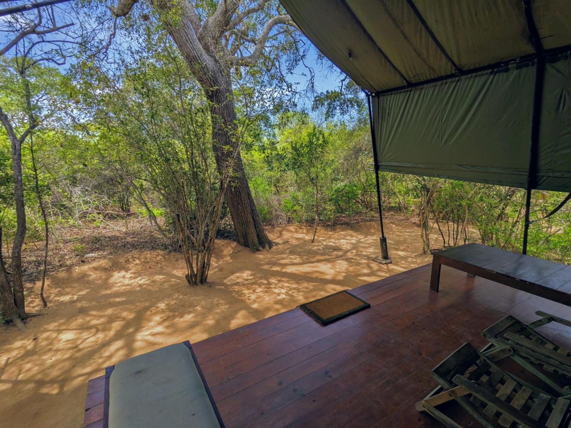 Yala Hotel Lion -Air Conditioned High Luxury Safari Camp Exteriör bild