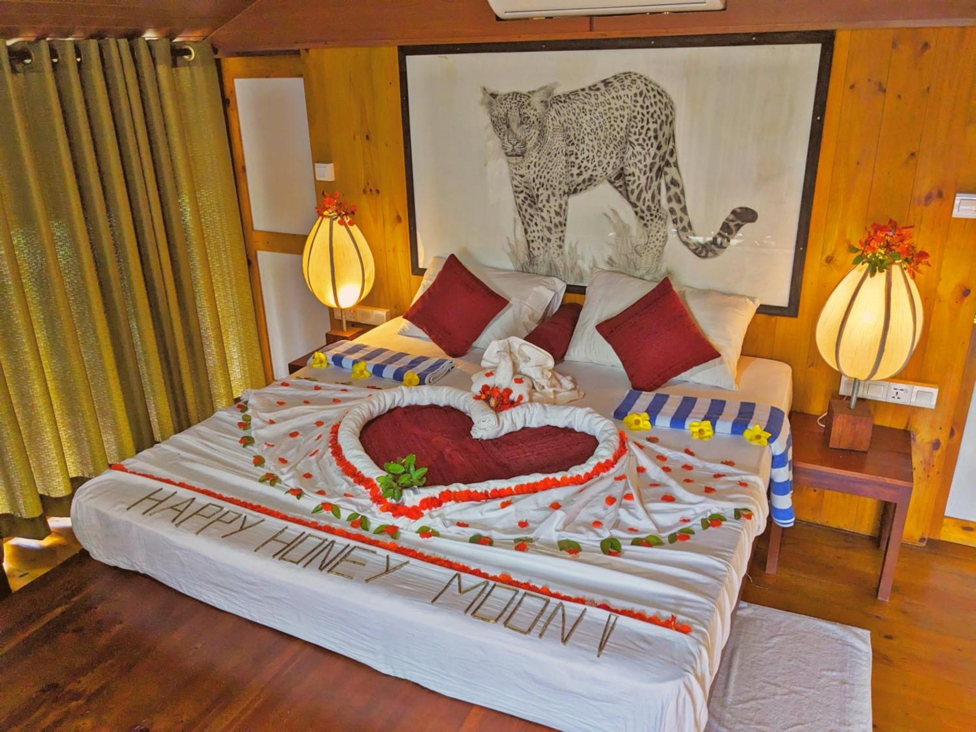 Yala Hotel Lion -Air Conditioned High Luxury Safari Camp Exteriör bild