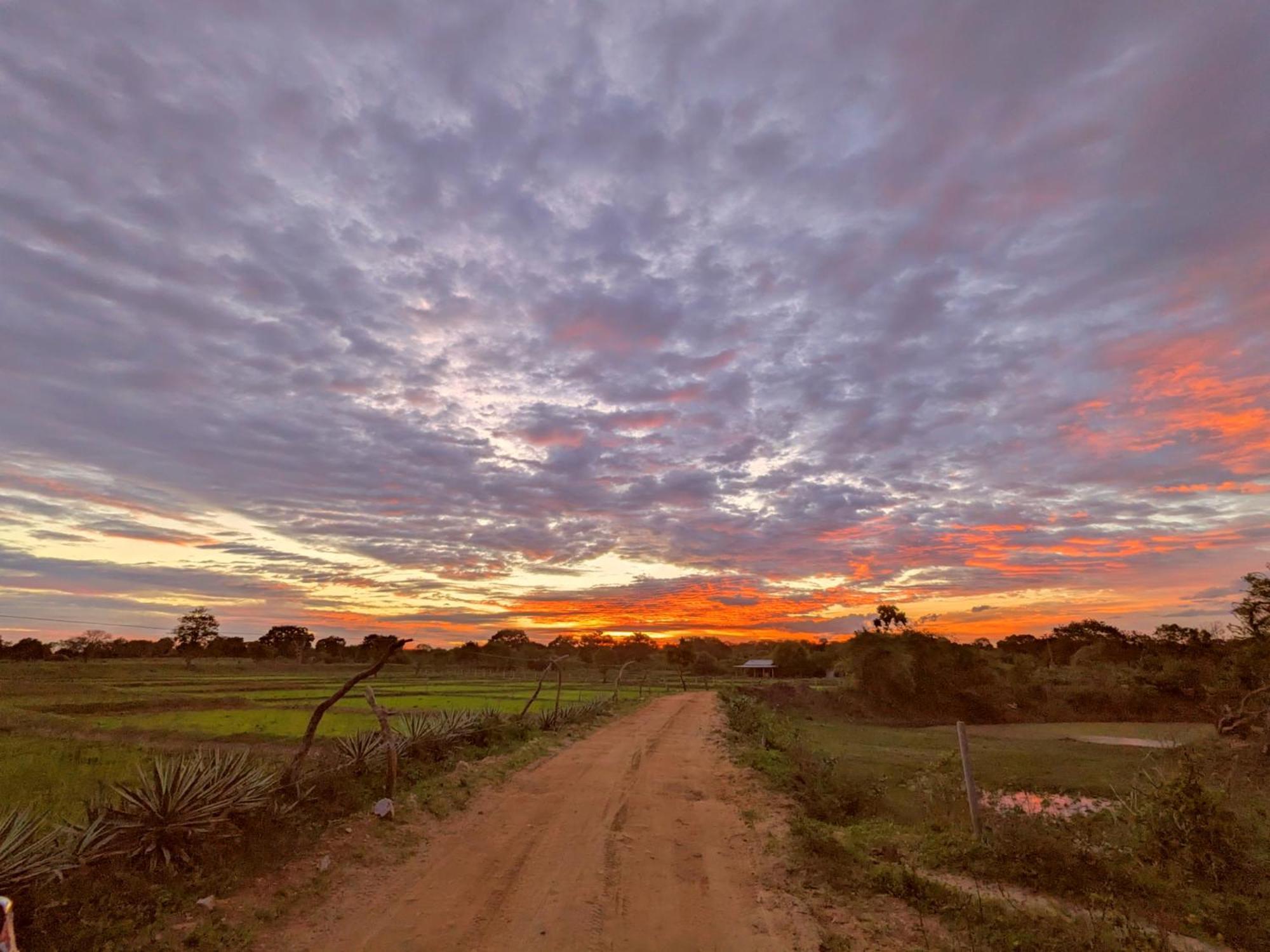 Yala Hotel Lion -Air Conditioned High Luxury Safari Camp Exteriör bild