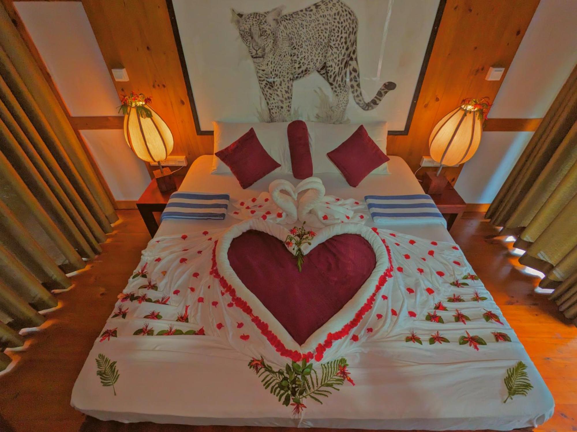 Yala Hotel Lion -Air Conditioned High Luxury Safari Camp Exteriör bild