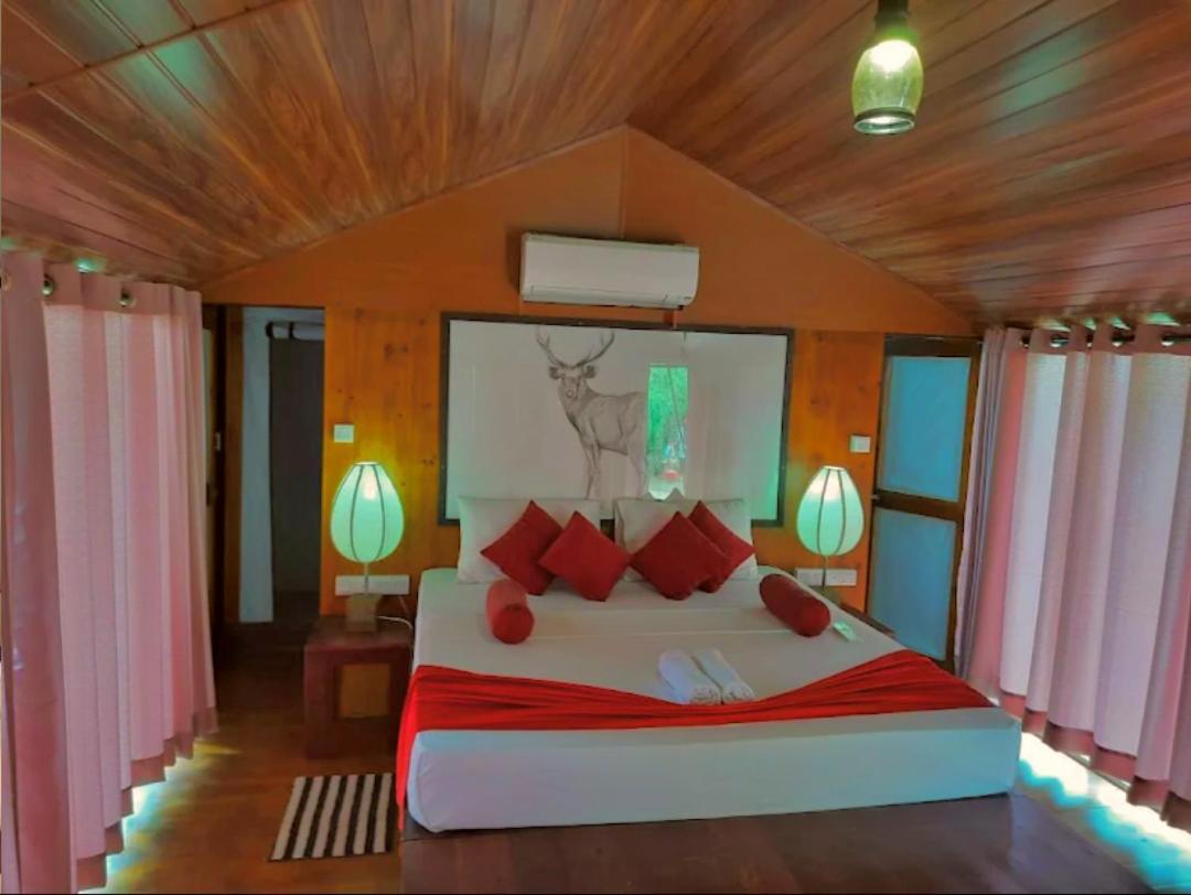 Yala Hotel Lion -Air Conditioned High Luxury Safari Camp Exteriör bild