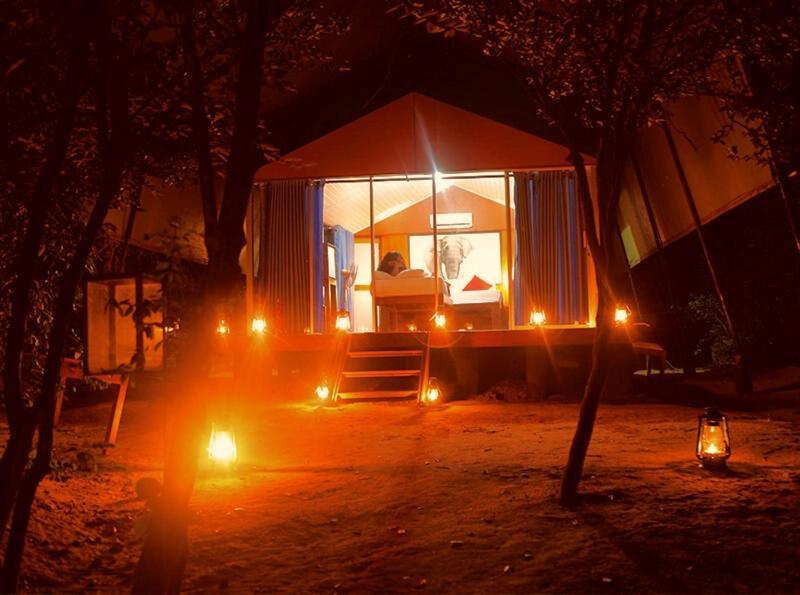 Yala Hotel Lion -Air Conditioned High Luxury Safari Camp Exteriör bild